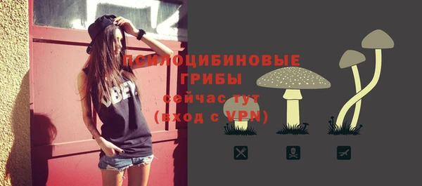 ПСИЛОЦИБИНОВЫЕ ГРИБЫ Алзамай