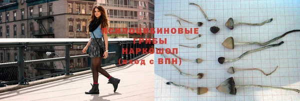 ПСИЛОЦИБИНОВЫЕ ГРИБЫ Алзамай